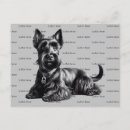 Recherche de scottish terrier cartes postales Scottie