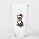Recherche de chien courant tasses Loup