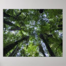 Recherche de grand angulaire art Horizontal