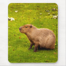 Recherche de capybara tapis souris Mignon