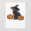 Recherche de halloween cartes postales Chats