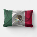 Recherche de drapeau du mexique coussins Cactus