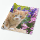 Recherche de gingembre papier cadeau Pour enfants