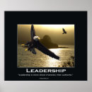 Recherche de aigle chauve posters Oiseau