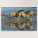 Recherche de étalon puzzles Superstock