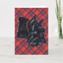 Recherche de scottish vœux cartes Terrier écossais