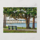 Recherche de banc de parc cartes postales Arbres