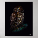 Recherche de hibou posters Adorable
