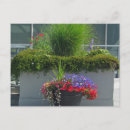Recherche de 2013 cartes invitations Fleurs