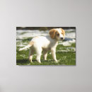 Recherche de canin art Horizontal