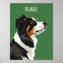 Recherche de bergers australiens posters Chien