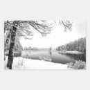 Recherche de bouleau autocollants Paysage