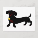 Recherche de chien de weiner cartes postales Doxie