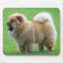 Recherche de chow tapis souris Chien
