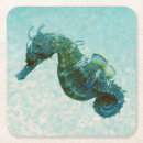Recherche de hippocampe dessous de verres Mer