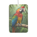 Recherche de perroquets voiture accessoires Pour tous