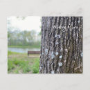 Recherche de banc de parc cartes postales Nature