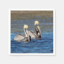 Recherche de pelican serviettes Faune