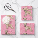 Recherche de poil papier cadeau Rose