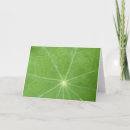 Recherche de veines vœux cartes Nature