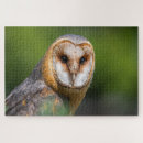 Recherche de owl puzzles Grange
