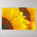 Recherche de duo posters Fleur