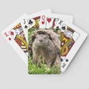 Recherche de marmotte jeux de cartes Faune