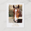 Recherche de cheval cartes visite Animal de ferme