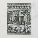 Recherche de porc sauvage cartes postales Écorce
