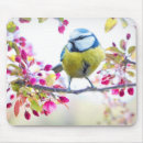 Recherche de oiseau mignon tapis souris Printemps