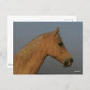 Recherche de headshot cartes postales Tennessee walker