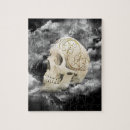 Recherche de crane puzzles Blanc