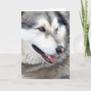 Recherche de portrait de loup vœux cartes Nature