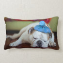 Recherche de bouledogue anglais coussins Amour