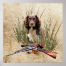 Recherche de cocker anglais posters Espagne