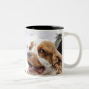 Recherche de fenêtre tasses Voiture