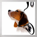 Recherche de dessin beagle posters Drôle