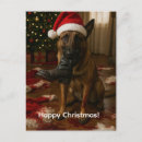 Recherche de berger belge cartes postales Amoureux des chiens