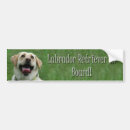 Recherche de labrador voiture autocollants Animal familier