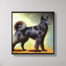 Recherche de berger belge posters Canine