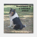 Recherche de colley magnets Dog