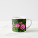 Recherche de belle fleur rose tasses Fleurs