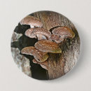 Recherche de champignon badges Comestible