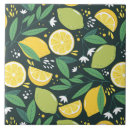 Recherche de fruits carreaux Agrumes