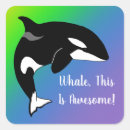 Recherche de épaulard autocollants Baleine