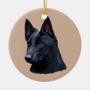 Recherche de berger allemand ornements Animaux familiers