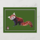 Recherche de panda rouge cartes postales Aquarelle