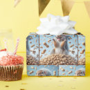 Recherche de écureuil papier cadeau Amusant