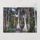 Recherche de marécages cartes postales Arbres