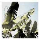 Recherche de banane posters Tropical